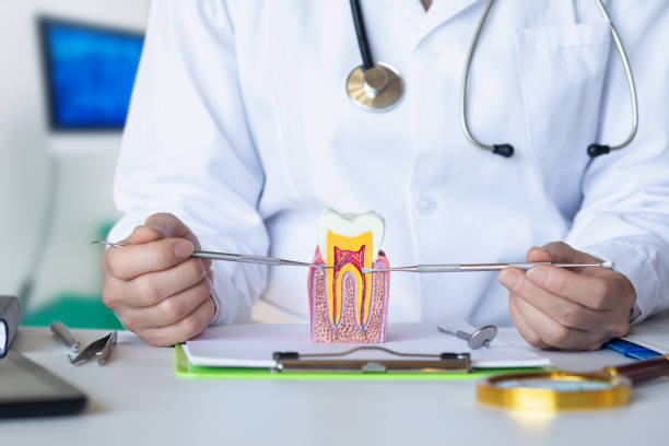 Best Pediatric Emergency Dentist in Tryon, NC